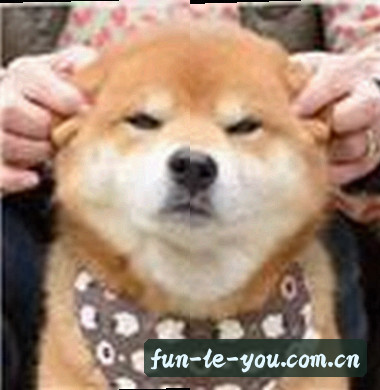 刘洋